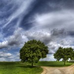 Crossing_paths_-_desktop_background_photos (1)